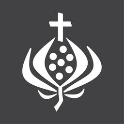 Milosrdní bratři (Hospitálský řád sv. Jana z Boha)