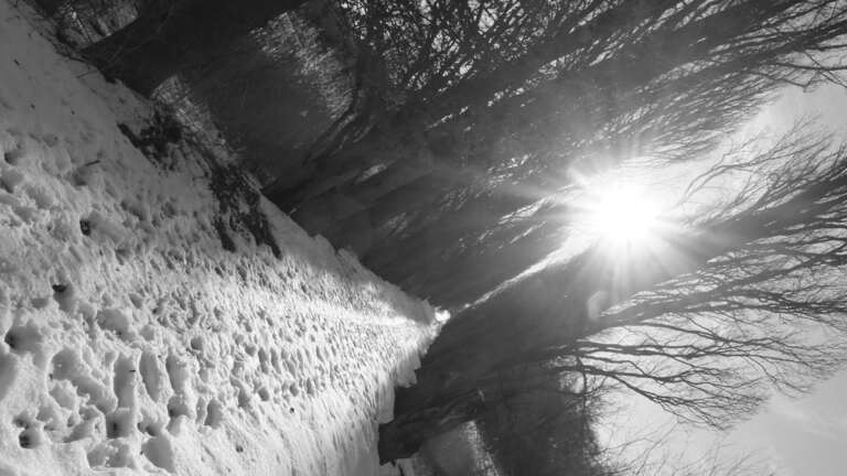 Cesta za štěstím Cesta za štěstím