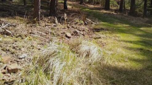 Salesiánky zvou mladé na duchovní obnovu do Beskyd