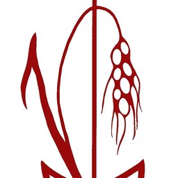 Kongregace Školských sester de Notre Dame