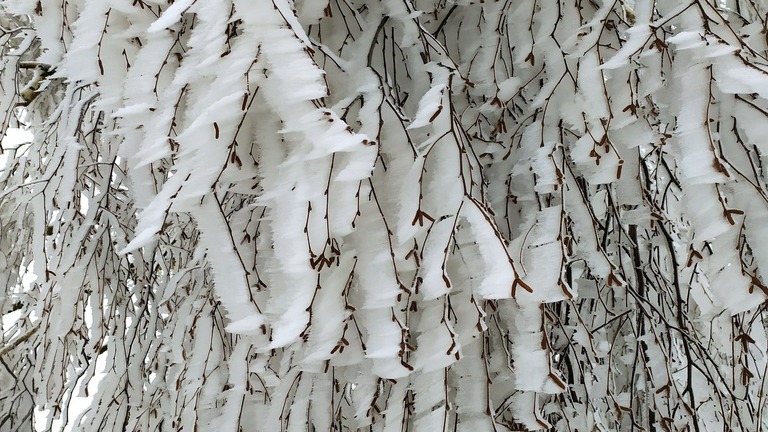 Pojďte a pozorujte. Pojďte a pozorujte.