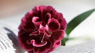 Postní duchovní obnova u Milosrdných sester sv. Kříže