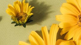 Duchovní obnova u Milosrdných sester sv. Kříže