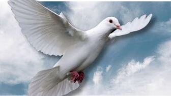 Nového před Slavnostní seslání Ducha Svatého