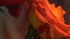 Adventní obnova v Kroměříži u sester sv. Kříže